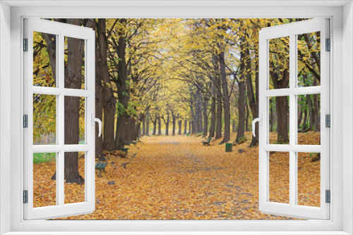 Fototapeta Naklejka Na Ścianę Okno 3D - colors of autumn park