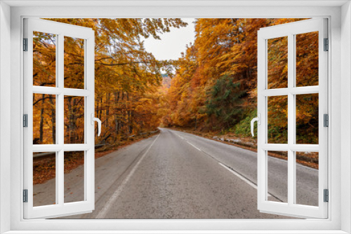 Fototapeta Naklejka Na Ścianę Okno 3D - autumn road