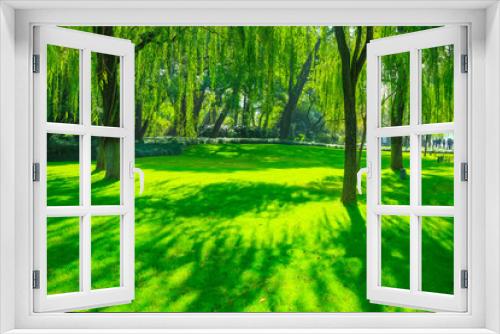 Fototapeta Naklejka Na Ścianę Okno 3D - Park woods
