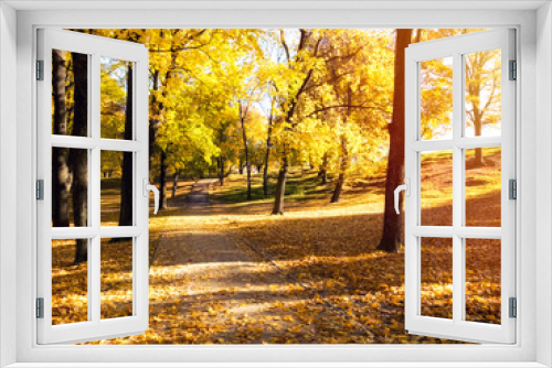 Fototapeta Naklejka Na Ścianę Okno 3D - Park with fallen leaves on a sunny autumn day