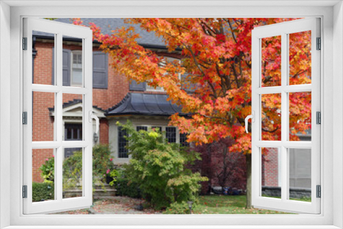 Fototapeta Naklejka Na Ścianę Okno 3D - house in fall with colorful maple tree