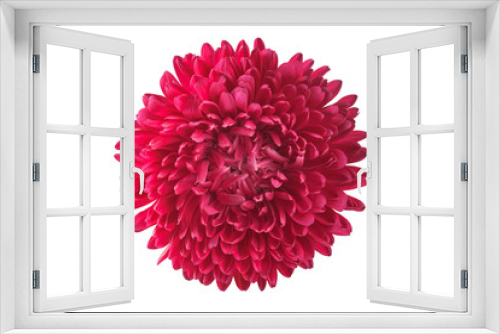 Fototapeta Naklejka Na Ścianę Okno 3D - red beautiful flower on a white background