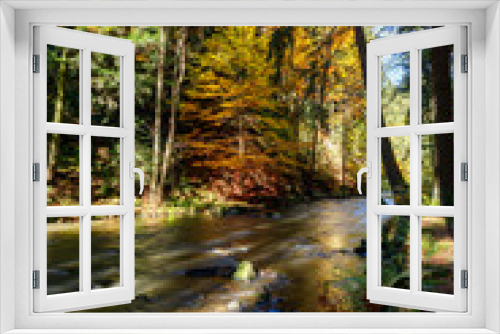 Fototapeta Naklejka Na Ścianę Okno 3D - Autumn, fall wild river Doubrava, picturesque landscape.