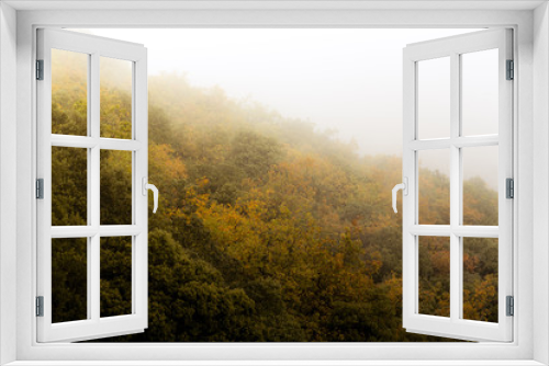 Fototapeta Naklejka Na Ścianę Okno 3D - Wild autumn
