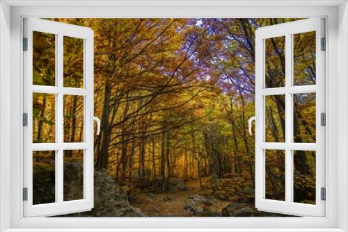 Fototapeta Naklejka Na Ścianę Okno 3D - Autunno nel bosco