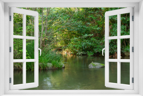 Fototapeta Naklejka Na Ścianę Okno 3D - 森林の池