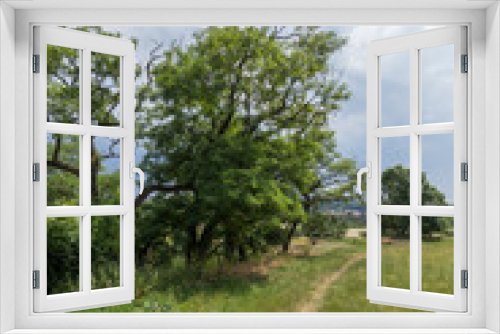 Fototapeta Naklejka Na Ścianę Okno 3D - View of grassland, trees and footpath at Divoka Sarka. It's a nature reserve on the outskirts of Prague in Czech Republic.