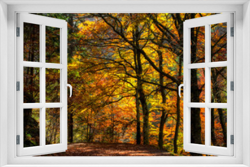 Fototapeta Naklejka Na Ścianę Okno 3D - Colorful autumn forest