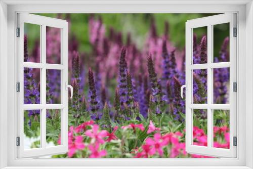 Fototapeta Naklejka Na Ścianę Okno 3D - Pinks and Purples