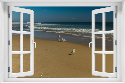 Fototapeta Naklejka Na Ścianę Okno 3D - Beach and Seagulls