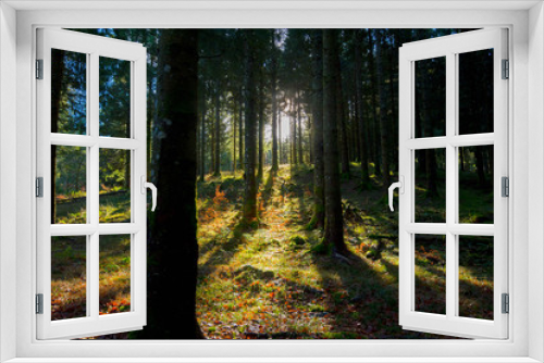 Fototapeta Naklejka Na Ścianę Okno 3D - Sonnenstrahl im Vogesenwald im Spätherbst
