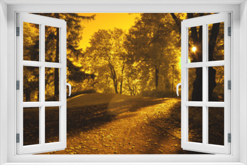 Fototapeta Naklejka Na Ścianę Okno 3D - Infrared. Golden autumn.