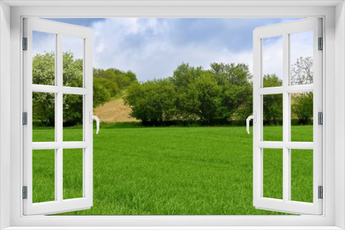 Fototapeta Naklejka Na Ścianę Okno 3D - Lines and waves with trees in area known as Moravian Tuscany, South Moravia, Czech Republic.