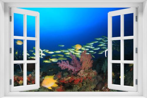 Fototapeta Naklejka Na Ścianę Okno 3D - Underwater fish on coral reef in ocean