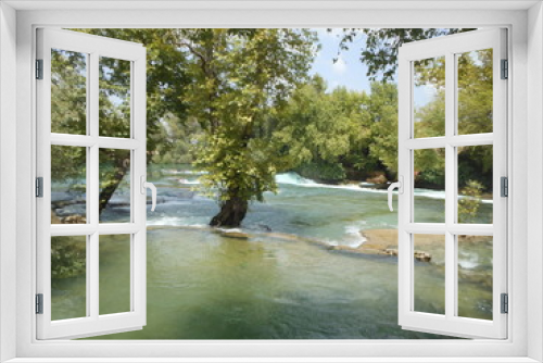 Fototapeta Naklejka Na Ścianę Okno 3D - Oak tree grown inside river