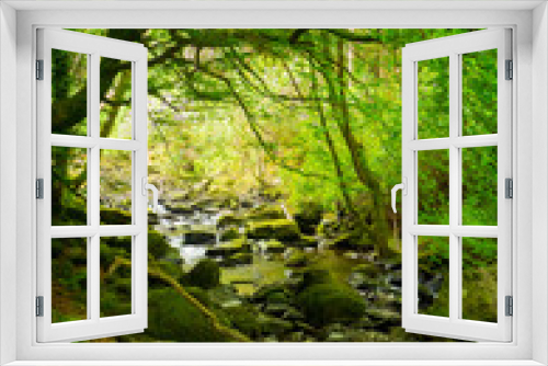 Fototapeta Naklejka Na Ścianę Okno 3D - Waterfalls in green Ireland