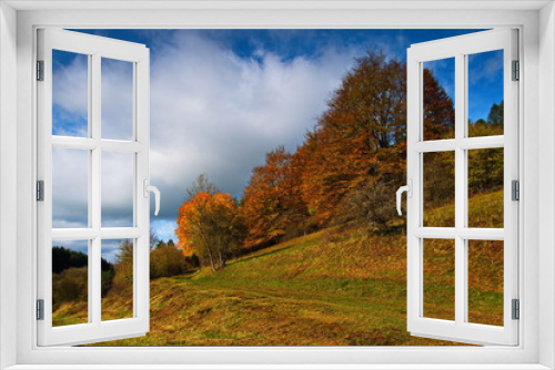 Fototapeta Naklejka Na Ścianę Okno 3D - Landschaft im Herbst mit Wiesen und bunten Bäumen in idyllischer Natur in der Eifel