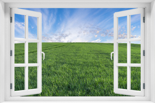 Fototapeta Naklejka Na Ścianę Okno 3D - green field, panorama