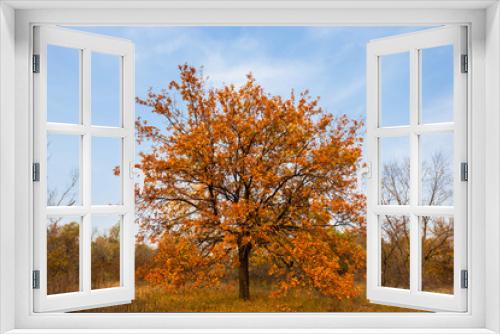 Fototapeta Naklejka Na Ścianę Okno 3D - dry oak tree in a autumn forest