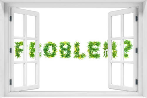 Fototapeta Naklejka Na Ścianę Okno 3D - Word PROBLEM made from green cannabis leaves on a white background. Isolated