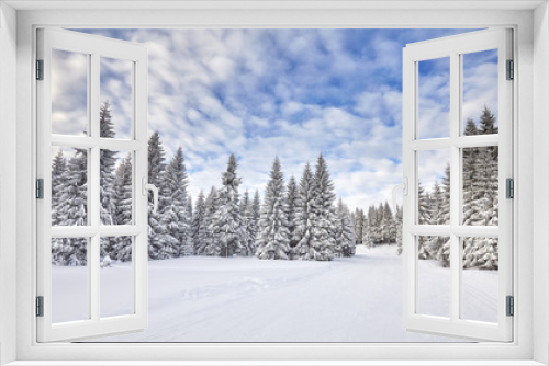 Fototapeta Naklejka Na Ścianę Okno 3D - Winter landscape with snow covered trees