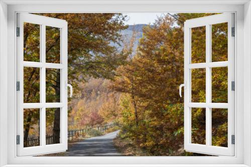 Fototapeta Naklejka Na Ścianę Okno 3D - Beautiful Autumn nature colors of mountain forest