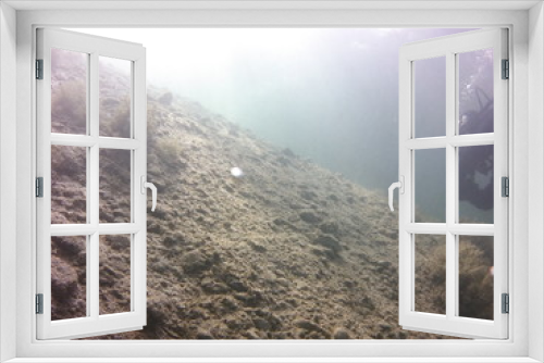 Fototapeta Naklejka Na Ścianę Okno 3D - Helles Wasser oben