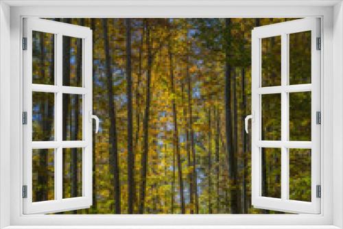 Fototapeta Naklejka Na Ścianę Okno 3D - Coloured beech forest in autumn