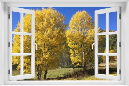 Fototapeta Naklejka Na Ścianę Okno 3D - paesaggio autunno lago modella foglie colori 