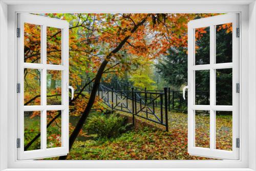 Fototapeta Naklejka Na Ścianę Okno 3D - Scenic view of misty autumn landscape with beautiful old bridge in the garden with red maple foliage.