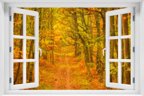 Fototapeta Naklejka Na Ścianę Okno 3D - Pathway through the autumn forest