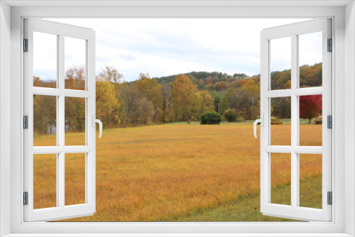 Fototapeta Naklejka Na Ścianę Okno 3D - Butterscotch Meadow