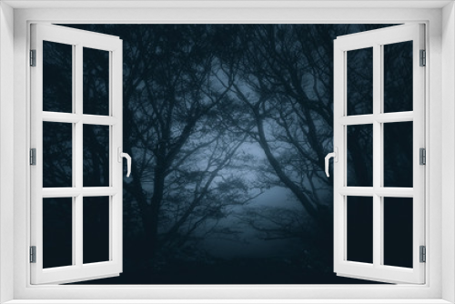 Fototapeta Naklejka Na Ścianę Okno 3D - scary gloomy forest at night
