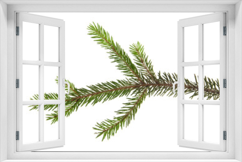 Fototapeta Naklejka Na Ścianę Okno 3D - branch of Christmas tree isolated on white background close-up