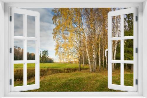 Fototapeta Naklejka Na Ścianę Okno 3D - Bright autumn landscape 