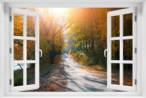 Fototapeta Naklejka Na Ścianę Okno 3D - Bright and scenic landscape of new road with bicyclist across auttumn trees with fallen orange and yellow leaf