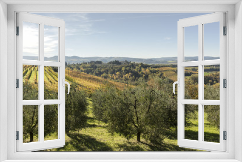 Fototapeta Naklejka Na Ścianę Okno 3D - Weinfelder und Olivenbäume derToskana