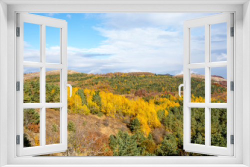 Fototapeta Naklejka Na Ścianę Okno 3D - Autumn forest 39