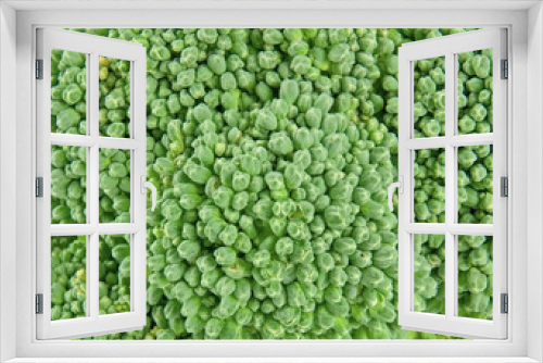 Fototapeta Naklejka Na Ścianę Okno 3D - Fresh broccoli as background close-up