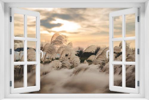 Fototapeta Naklejka Na Ścianę Okno 3D - Rośliny