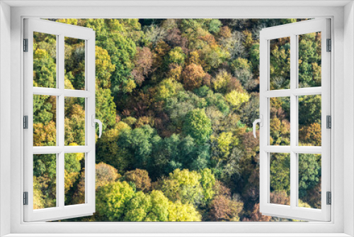 Fototapeta Naklejka Na Ścianę Okno 3D - Vue aérienne de forêt à l'automne à Bazeont à l'ouest de Paris