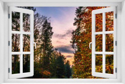 Fototapeta Naklejka Na Ścianę Okno 3D - Herbst in Wandlitz