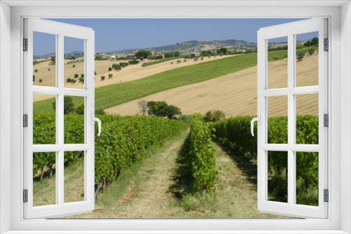 Fototapeta Naklejka Na Ścianę Okno 3D - Summer landscape in Marches (Italy) near Montefano