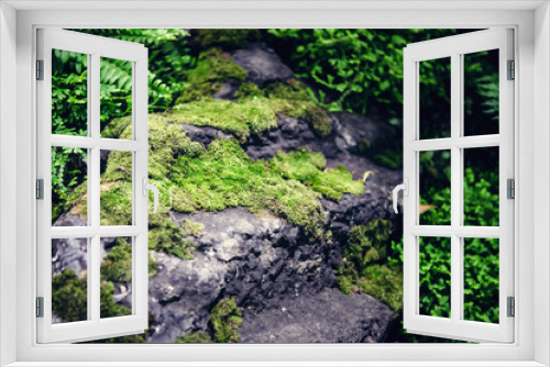 Fototapeta Naklejka Na Ścianę Okno 3D - Beautiful nature background of vertical garden with tropical green leaf