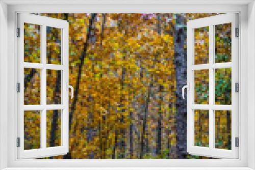 Fototapeta Naklejka Na Ścianę Okno 3D - Yellow Autumn Trees on Hiking Trail