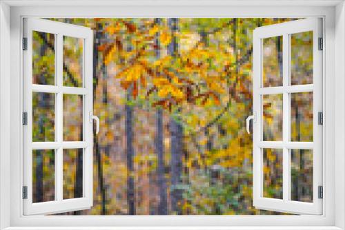 Fototapeta Naklejka Na Ścianę Okno 3D - Yellow Autumn Leaves on Hiking Trail