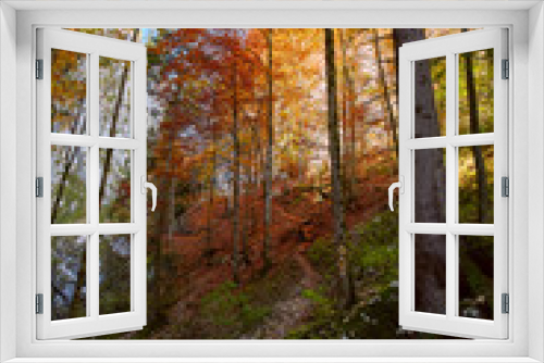 Fototapeta Naklejka Na Ścianę Okno 3D - Autumnal landscape with hiking trail