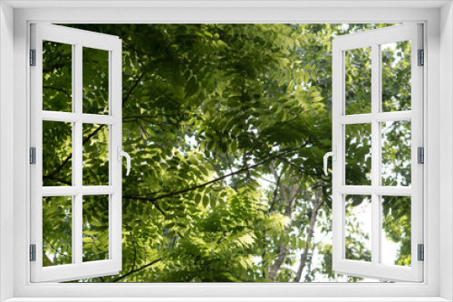 Fototapeta Naklejka Na Ścianę Okno 3D - Natures Circles