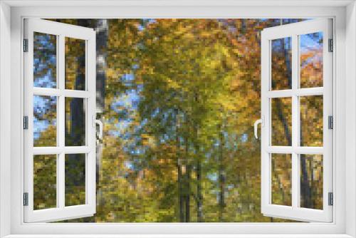 Fototapeta Naklejka Na Ścianę Okno 3D - Laubbäume im Herbst mit Weg