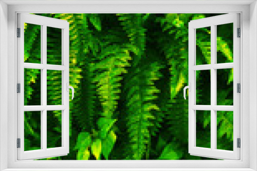 Fototapeta Naklejka Na Ścianę Okno 3D - Tropical green leaf